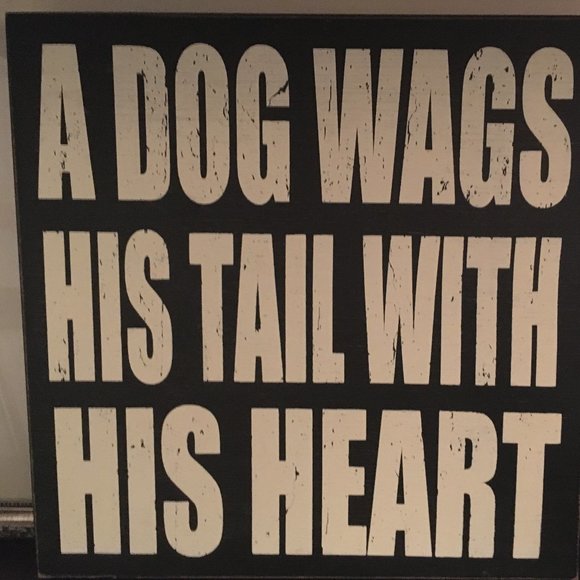 Meet your Posher, Dyan - Picture 9 of 11